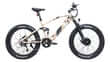 DEFENDER-S electric bike with fat tires, offering rugged performance for off-road adventures and diverse terrains.