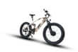 DEFENDER-S fat-tire electric bike designed for rugged off-road adventures and varied terrains.