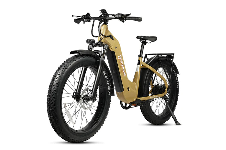 YOUNG ELECTRIC ESCOUT PRO ST