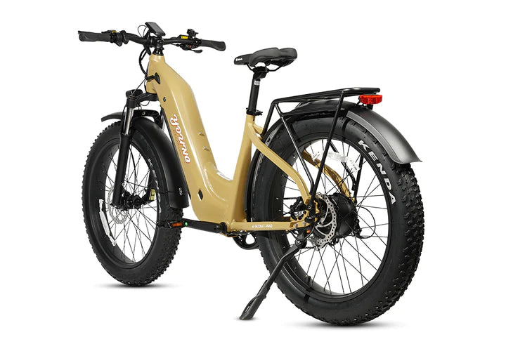 YOUNG ELECTRIC ESCOUT PRO ST