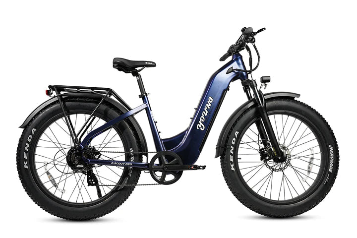 YOUNG ELECTRIC ESCOUT PRO ST