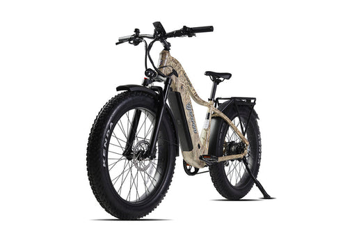 YOUNG ELECTRIC EFLOW