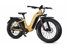 YOUNG ELECTRIC ESCOUT PRO ST