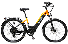 YOUNG ELECTRIC EFLOW
