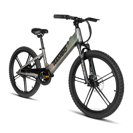 Meet the CHAMELEON 1.0: The Ultimate Urban E-Bike Built for Versatility