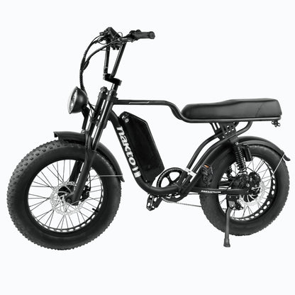 NAKTO Fat Tire Ebike F2