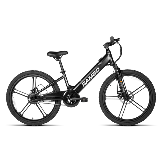 CHAMELEON 1.0 - Chameleon