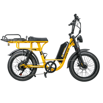 E-Bike F4